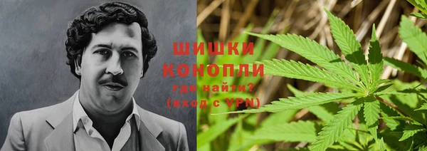 спиды Алзамай