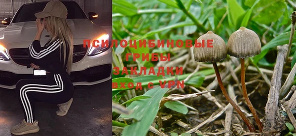 спиды Алзамай