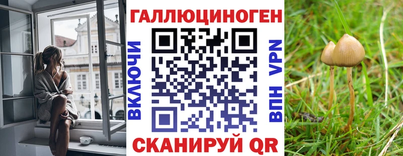 наркота  Десногорск  Псилоцибиновые грибы ЛСД 