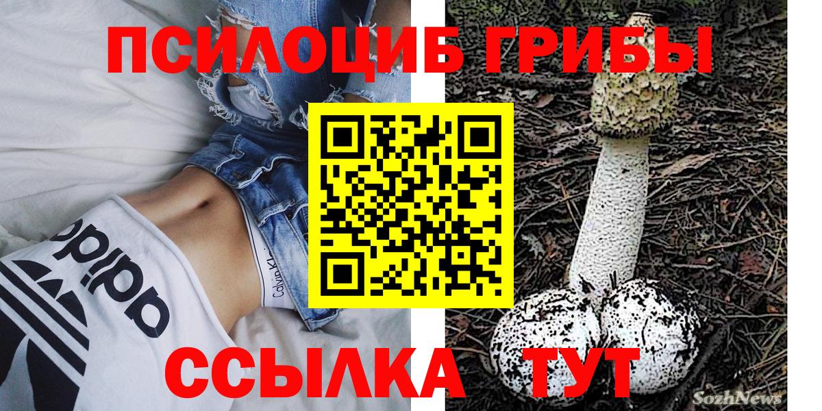 Галлюциногенные грибы MAGIC MUSHROOMS  Вход с VPN  Десногорск 