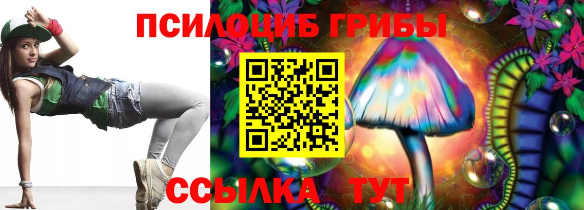 Псилоцибиновые грибы мухоморы Десногорск